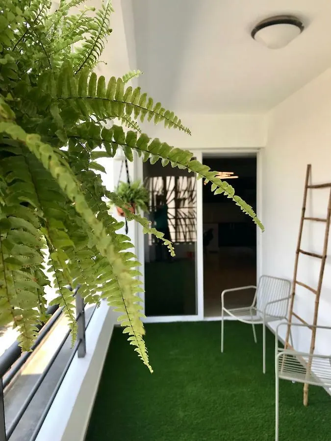 Fat Cow Apartment 103 Larnaca Cyprus